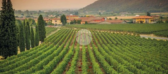 3 bedrooms Land in Erbusco, Italy No. 142456 14