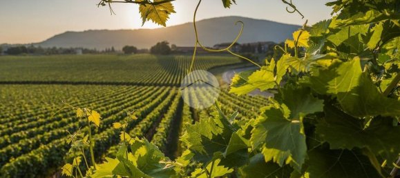 3 bedrooms Land in Erbusco, Italy No. 142456 20