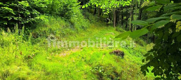 Casa T3 em Roccaforte Mondovì, Italy N.º 350149 28