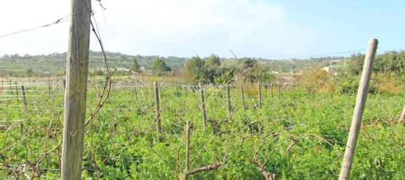 Terrain à Siggiewi, Malta 4900m² No. 13550 2