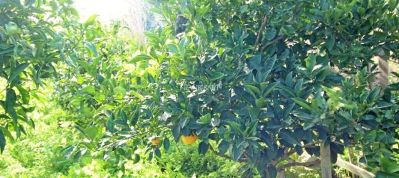 Terrain à Siggiewi, Malta 4900m² No. 13550 5