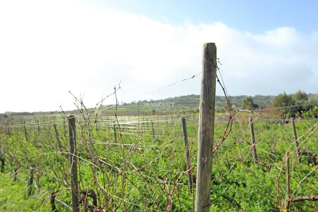 Terrain à Siggiewi, Malta 4900m² No. 13550