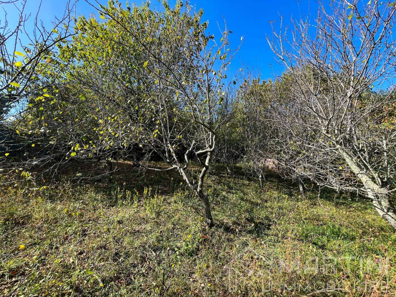 1010m² Land in Montieri, Italy No. 173780