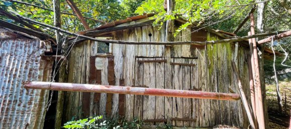 1010m² Land in Montieri, Italy No. 173780 8