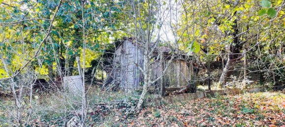 1010m² Land in Montieri, Italy No. 173780 7