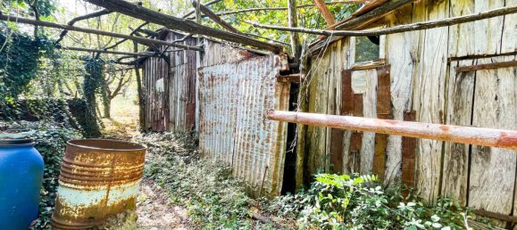 1010m² Land in Montieri, Italy No. 173780 5