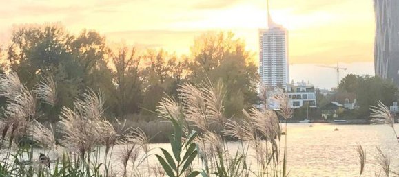 4 rooms Duplex in Vienna, Austria No. 152244 3