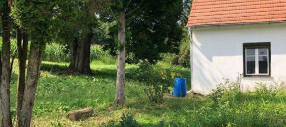 3 rooms House in Gerersdorf-Sulz, Austria No. 156734 6