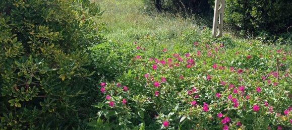 Дом с 4 спальнями в Чивителла д’Альяно, Италия № 348190 5