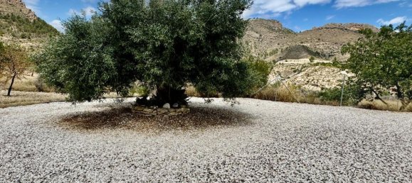 Villa de 5 dormitorios en Relleu, Spain No. 176513 5