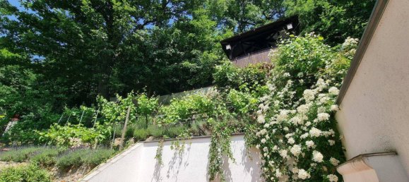 8غرفة فيلا في Dobling, Austria رقم 219094 13