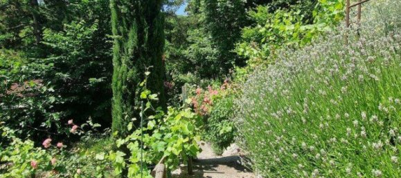 8غرفة فيلا في Dobling, Austria رقم 219094 19