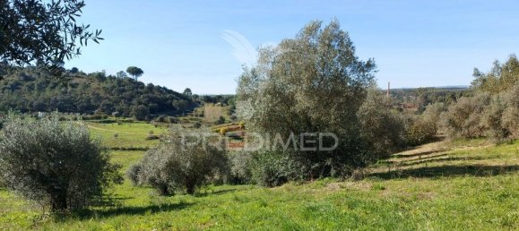9600m² Land in Santarem, Portugal No. 76112 6