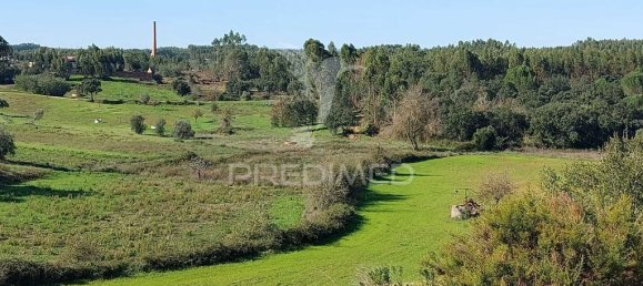 9600m² Land in Santarem, Portugal No. 76112 14