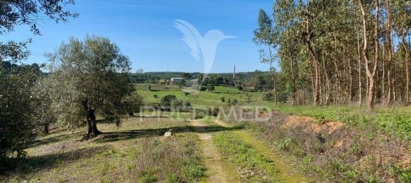 9600m² Land in Santarem, Portugal No. 76112 10