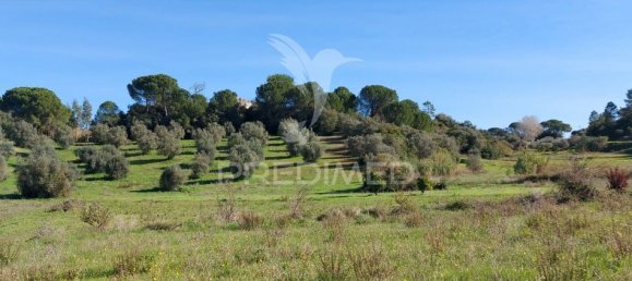 9600m² Land in Santarem, Portugal No. 76112 7