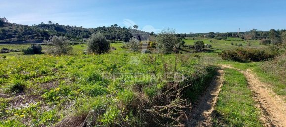 9600m² Land in Santarem, Portugal No. 76112 12