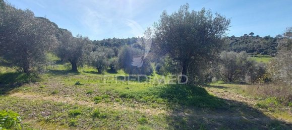 9600m² Land in Santarem, Portugal No. 76112 3
