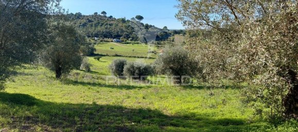 9600m² Land in Santarem, Portugal No. 76112 9