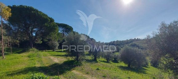9600m² Land in Santarem, Portugal No. 76112 5