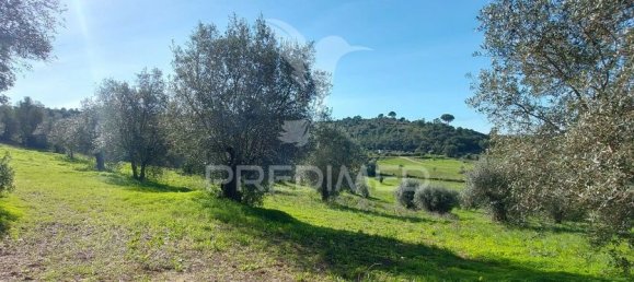 9600m² Land in Santarem, Portugal No. 76112 2
