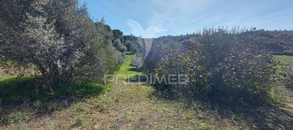9600m² Land in Santarem, Portugal No. 76112 4