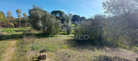 9600m² Land in Santarem, Portugal No. 76112 13