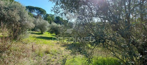 9600m² Land in Santarem, Portugal No. 76112 11