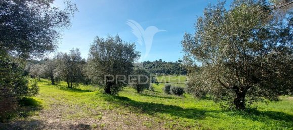 9600m² Land in Santarem, Portugal No. 76112 8