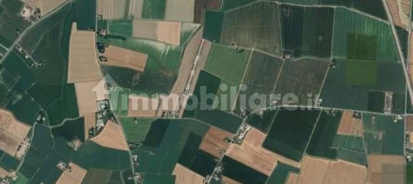 5غرفة منزل في Ravenna, Italy رقم 307393 19