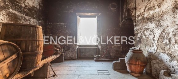 Gewerbliche Immobilie in Marino, Italy 130m², Nr. 81605 10