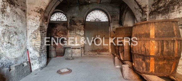 Gewerbliche Immobilie in Marino, Italy 130m², Nr. 81605 2