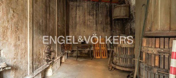 Gewerbliche Immobilie in Marino, Italy 130m², Nr. 81605 7