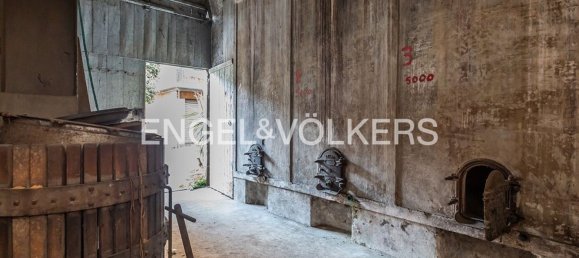 Gewerbliche Immobilie in Marino, Italy 130m², Nr. 81605 17