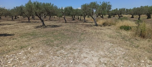 10000m² Land in Noto, Italy No. 68092 13