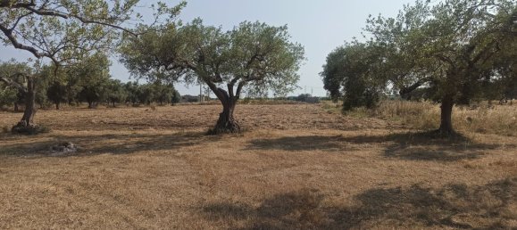 10000m² Land in Noto, Italy No. 68092 6
