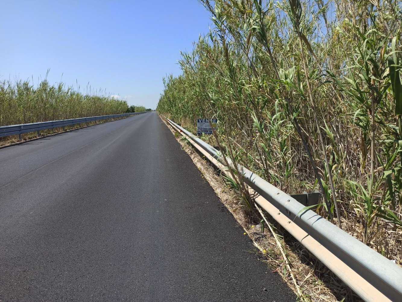 10000m² Land in Noto, Italy No. 68092