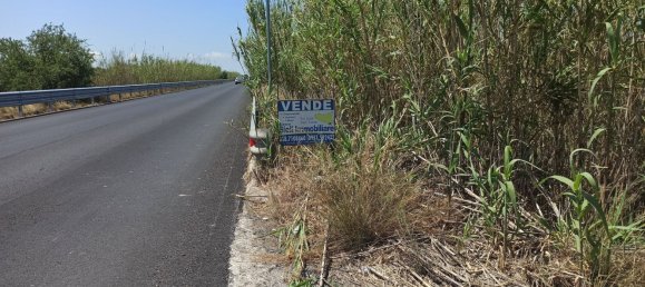 10000m² Land in Noto, Italy No. 68092 16
