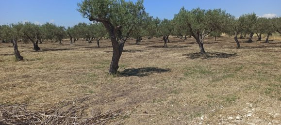 10000m² Land in Noto, Italy No. 68092 11