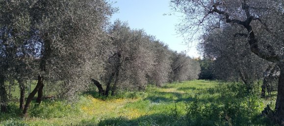 4 rooms Villa in Viterbo, Italy No. 59140 16