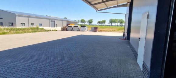 3200m² Warehouse in Cloppenburg, Germany No. 223815 4