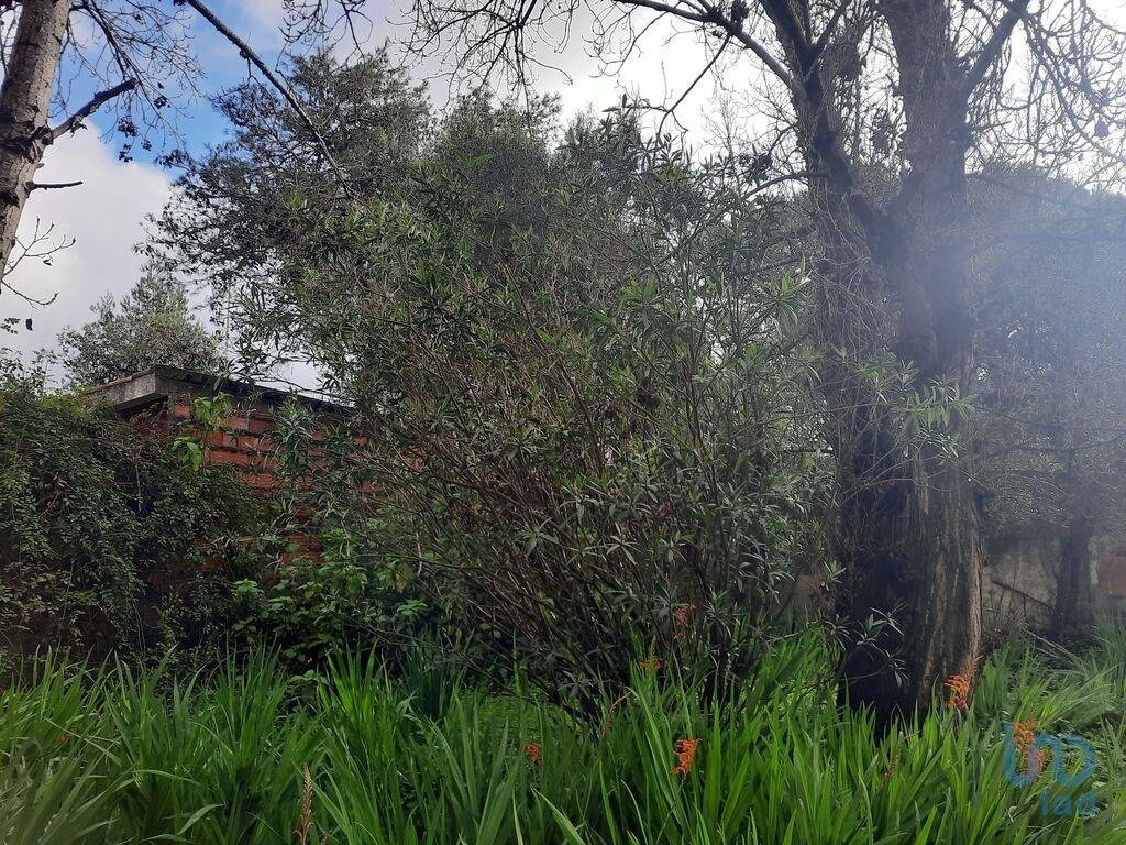 6 bedrooms Castles in Cascais, Portugal No. 131897