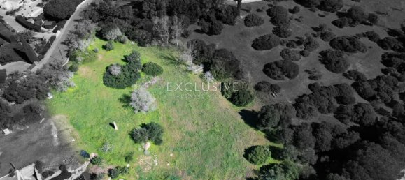 Terrain à Lagoa, Portugal No. 99560 2