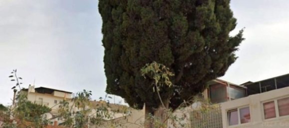  قطعة أرض في Benalmadena, Spain رقم 142362 11