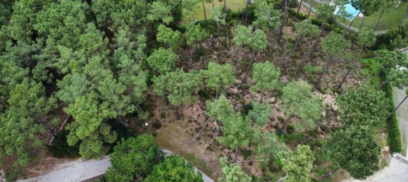 Земельный участок в Корройюш, Португалия № 159256 24