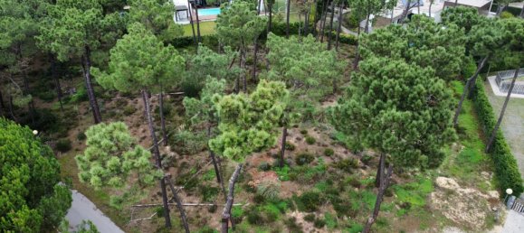 Земельный участок в Корройюш, Португалия № 159256 8