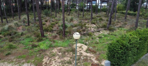 Земельный участок в Корройюш, Португалия № 159256 31