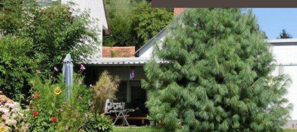 Bâtiment à Anger, Austria 231m² No. 245160 6