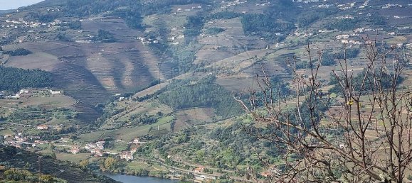 3 غرف نوم منزل في Resende, Portugal رقم 175123 10