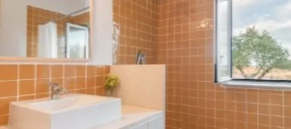 6 bedrooms House in Alcacovas, Portugal No. 121901 13